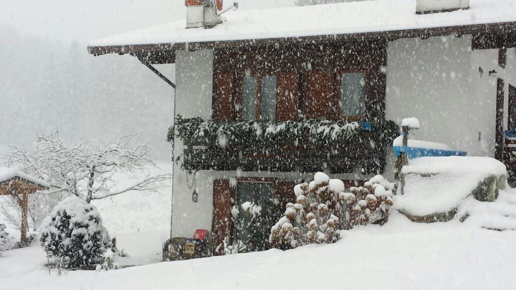 Chalet Monica Molina di Ledro Exterior photo